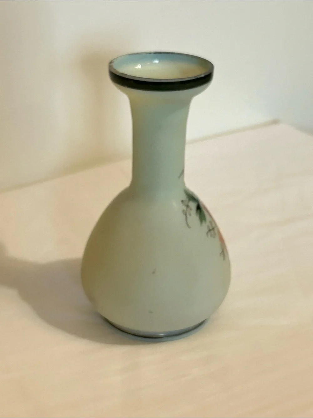 Gorgeous, vintage hand painted Bristol opaline vase